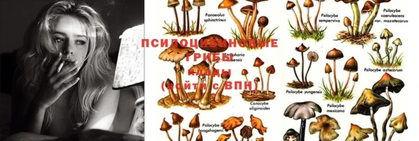 mdma Абинск